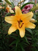 [5176 Corcovado No02.JPG]